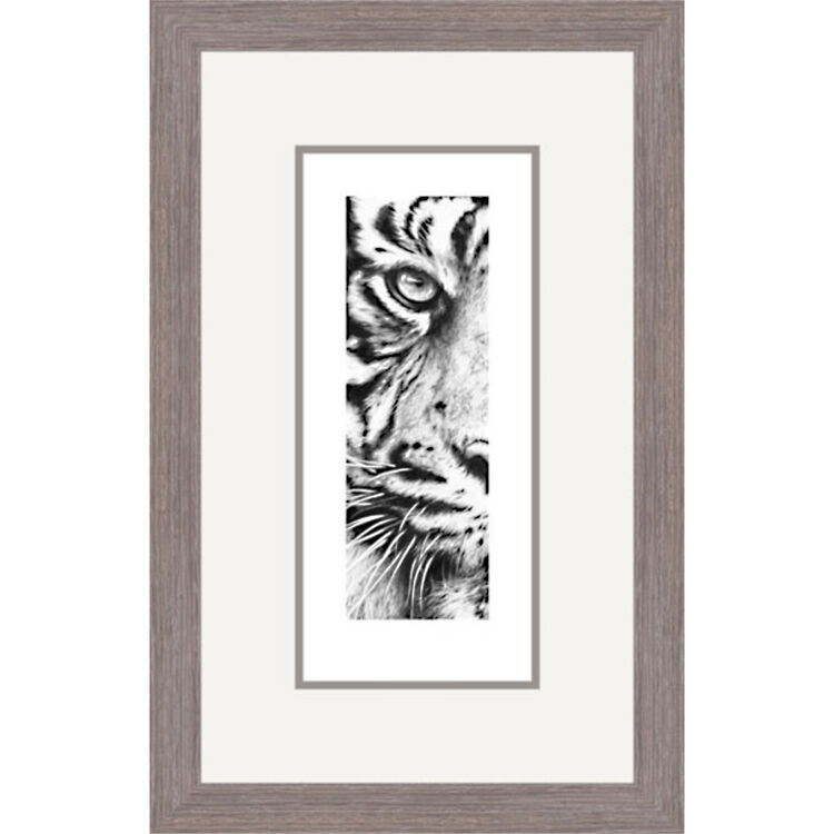 Eye of Sumatra - Sumatran Tiger Framed Limited Edition Art Print by Jamie Boots