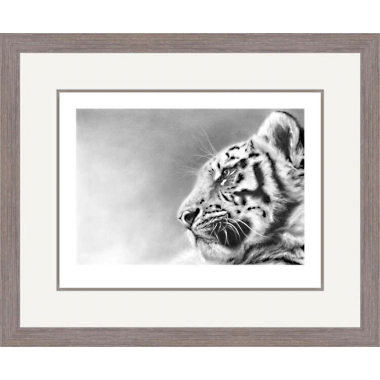 Stargazer - Siberian Tiger Cub Framed Limited Edition Art Print by Jamie Boots