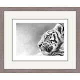 Stargazer - Siberian Tiger Cub Framed Limited Edition Art Print by Jamie Boots