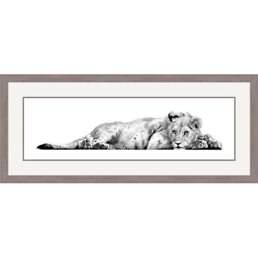 Daydreamer - Lion Framed Limited Edition Art Print by Jamie Boots