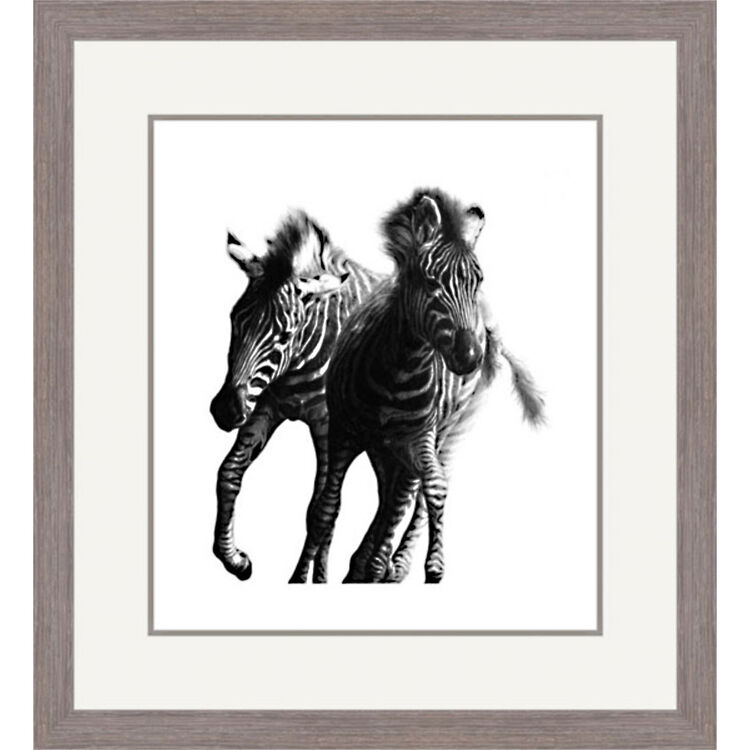 Running Wild - Chapmans Zebras Framed Limited Edition Art Print by Jamie Boots