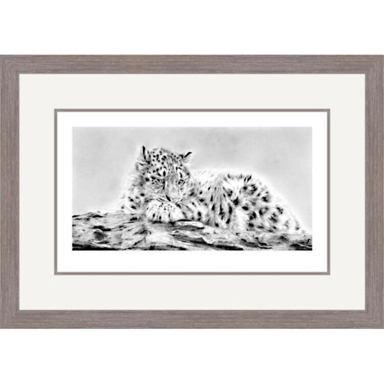 Mountain View - Snow Leopard Cub Framed Limited Edition Art Print by Jamie Boots