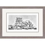 Mountain View - Snow Leopard Cub Framed Limited Edition Art Print by Jamie Boots