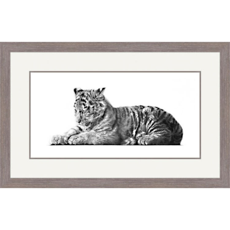 Russian Beauty - Siberian Tiger Framed Limited Edition Art Print by Jamie Boots
