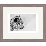 Snow Prince - Snow Leopard Framed Limited Edition Art Print by Jamie Boots