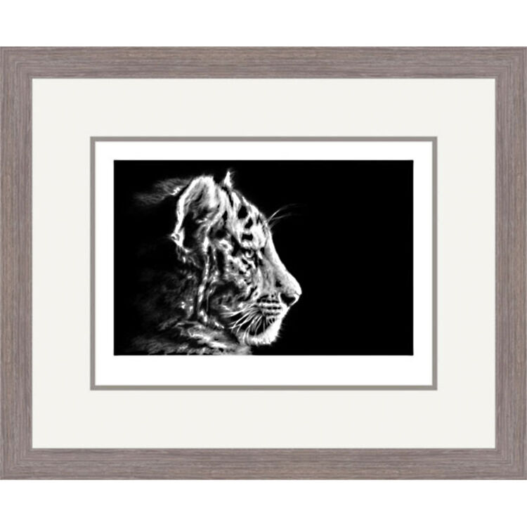 Soft Focus - Siberian Tiger Cub Framed Limited Edition Art Print by Jamie Boots