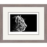 Soft Focus - Siberian Tiger Cub Framed Limited Edition Art Print by Jamie Boots