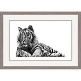 Jungle Lord - Bengal Tiger Framed Limited Edition Art Print by Jamie Boots