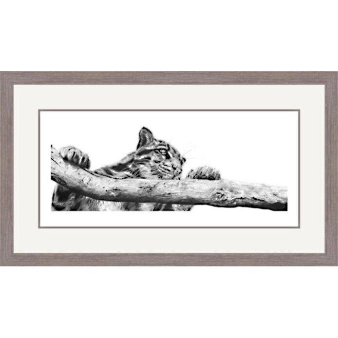 Clouded Judgement - Leopard Framed Limited Edition Art Print by Jamie Boots
