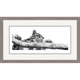 Clouded Judgement - Leopard Framed Limited Edition Art Print by Jamie Boots