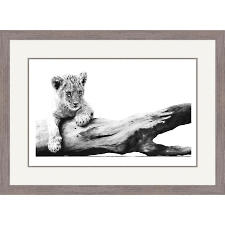 The Naughty Step - Cheetah Cub Framed Limited Edition Art Print by Jamie Boots