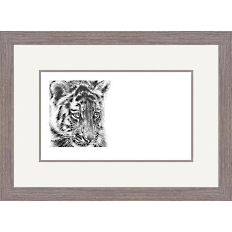 Innocent Eyes - Siberian Tiger Cub Framed Limited Edition Art Print by Jamie Boots