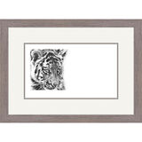 Innocent Eyes - Siberian Tiger Cub Framed Limited Edition Art Print by Jamie Boots