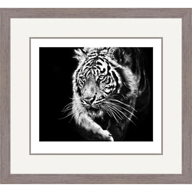 Ray of Light - Sumatran Tiger Framed Limited Edition Art Print by Jamie Boots