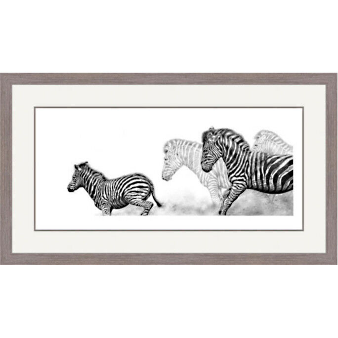 Free Spirit - Chapmans Zebras Framed Limited Edition Art Print by Jamie Boots