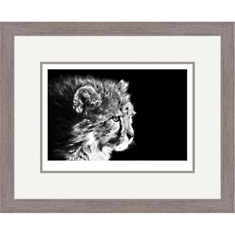 Vigilance - Cheetah Cub Framed Limited Edition Art Print by Jamie Boots