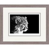 Vigilance - Cheetah Cub Framed Limited Edition Art Print by Jamie Boots