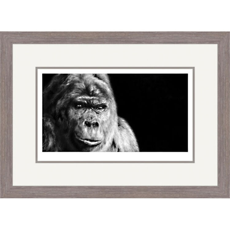 Contemplation - Gorilla Framed Limited Edition Art Print by Jamie Boots
