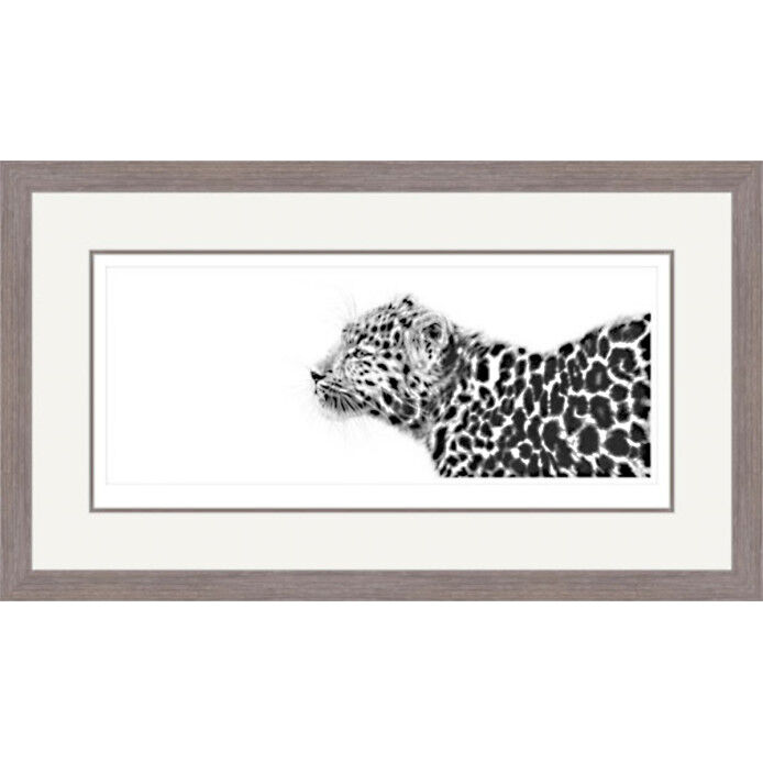 Tranquil Beauty - Amur Leopard Framed Limited Edition Art Print by Jamie Boots