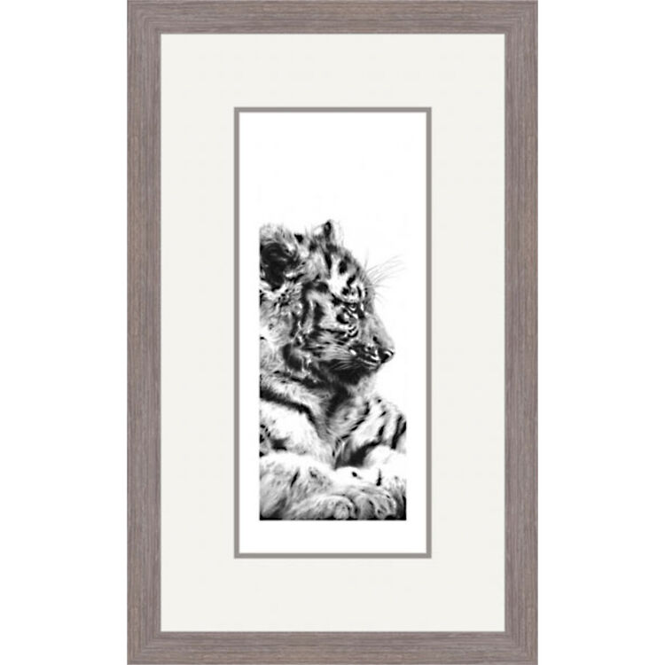 Waiting - Siberian Tiger Cub Framed Limited Edition Art Print by Jamie Boots