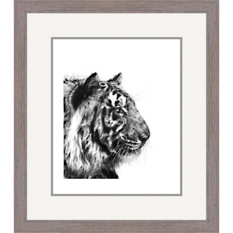 Regal - Bengal Tiger Framed Limited Edition Art Print by Jamie Boots