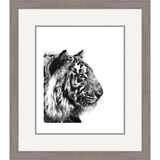 Regal - Bengal Tiger Framed Limited Edition Art Print by Jamie Boots