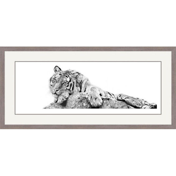 Jewel of Siberia - Siberian Tiger Framed Limited Edition Art Print by Jamie Boots