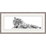 Jewel of Siberia - Siberian Tiger Framed Limited Edition Art Print by Jamie Boots