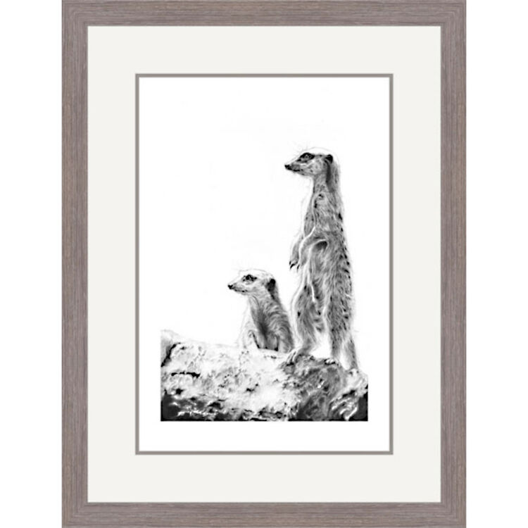 View Point - Meerkats Framed Limited Edition Art Print by Jamie Boots