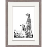 View Point - Meerkats Framed Limited Edition Art Print by Jamie Boots
