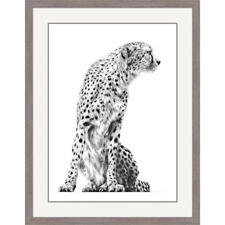 Distant Vision - Cheetah Framed Limited Edition Art Print by Jamie Boots