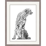 Distant Vision - Cheetah Framed Limited Edition Art Print by Jamie Boots