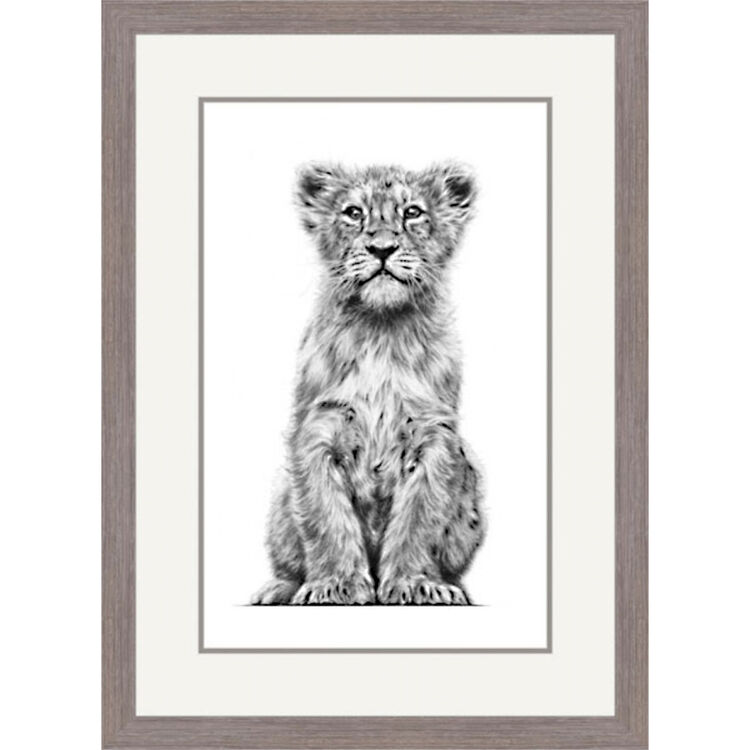 Heart of Asia - Asiatic Lion Framed Limited Edition Art Print by Jamie Boots