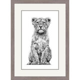 Heart of Asia - Asiatic Lion Framed Limited Edition Art Print by Jamie Boots