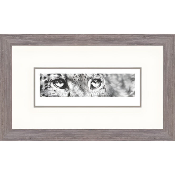 Cold Stare - Snow Leopard Framed Limited Edition Art Print by Jamie Boots