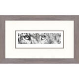 Cold Stare - Snow Leopard Framed Limited Edition Art Print by Jamie Boots