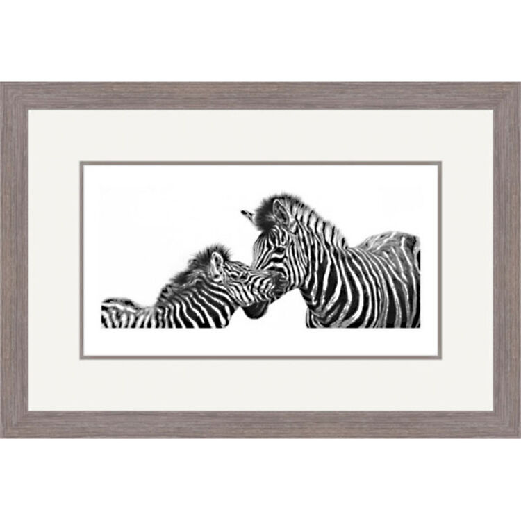The Young Mohicans - Chapmans Zebras Framed Limited Edition Art Print by Jamie Boots