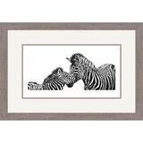 The Young Mohicans - Chapmans Zebras Framed Limited Edition Art Print by Jamie Boots