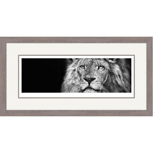 African Warrior - Lion Framed Limited Edition Art Print by Jamie Boots