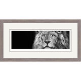 African Warrior - Lion Framed Limited Edition Art Print by Jamie Boots
