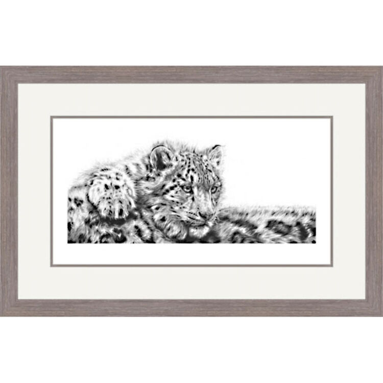Focal Point - Snow Leopard Cub Framed Limited Edition Art Print by Jamie Boots