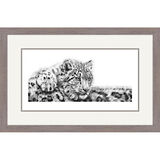 Focal Point - Snow Leopard Cub Framed Limited Edition Art Print by Jamie Boots