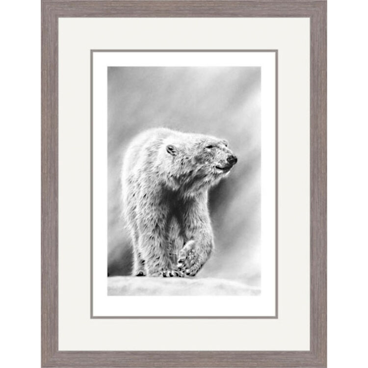 Artic Wanderer - Polar Bear Framed Limited Edition Art Print by Jamie Boots