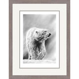 Artic Wanderer - Polar Bear Framed Limited Edition Art Print by Jamie Boots