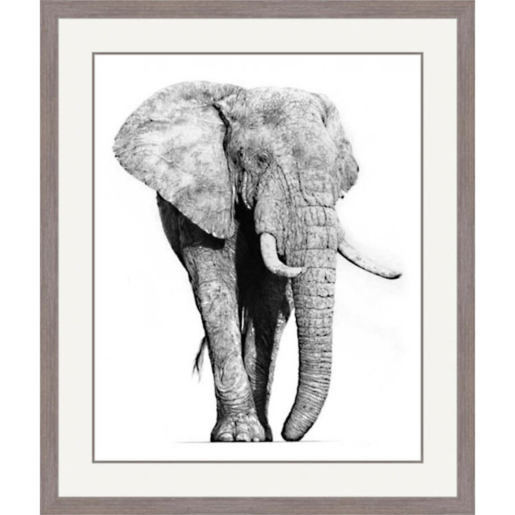 Majestic Thunder - African Elephants Framed Limited Edition Art Print by Jamie Boots