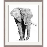 Majestic Thunder - African Elephants Framed Limited Edition Art Print by Jamie Boots