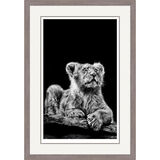 Prince of Darkness - Asiatic Lion Framed Limited Edition Art Print by Jamie Boots