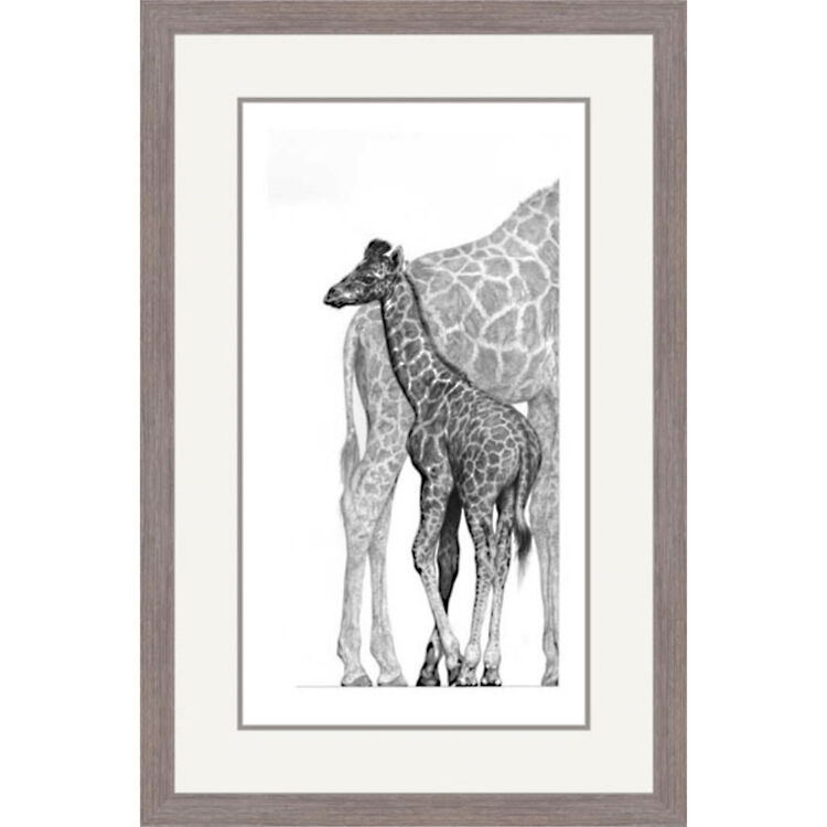 Graceful - Giraffes Framed Limited Edition Art Print by Jamie Boots