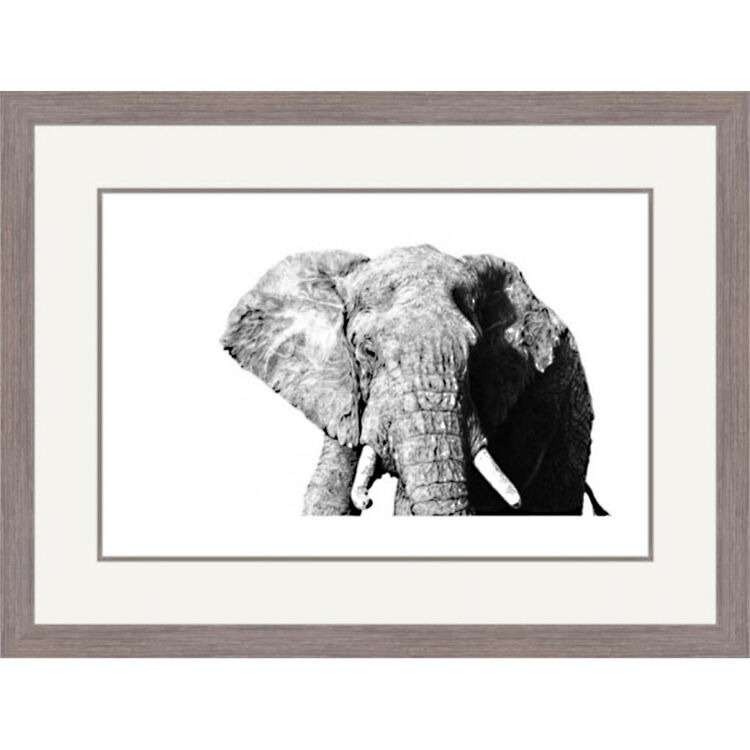 Shadow of Africa - African Elephants Framed Limited Edition Art Print by Jamie Boots