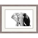 Shadow of Africa - African Elephants Framed Limited Edition Art Print by Jamie Boots